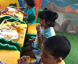 little einsteins preschool bommanahalli